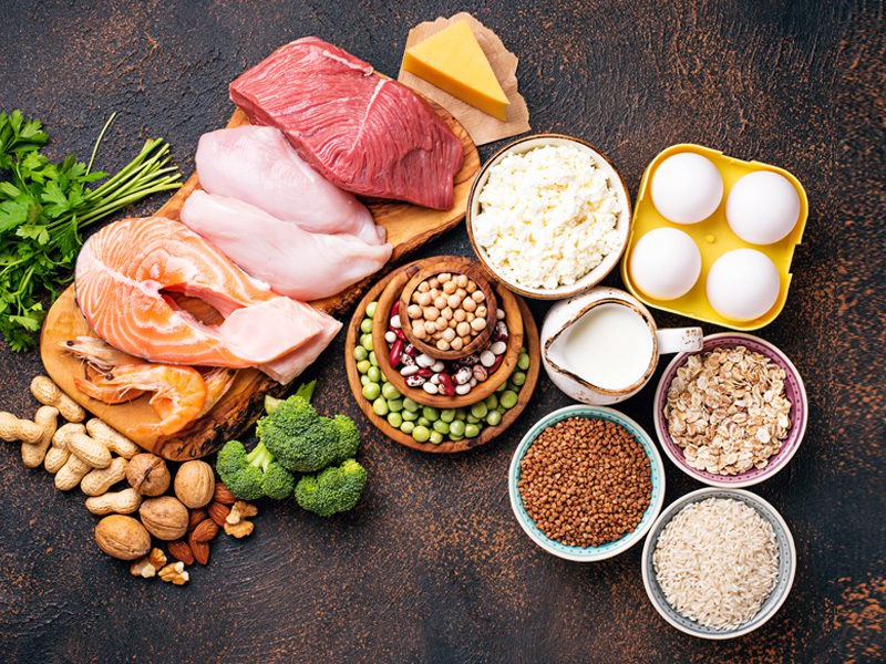 Your Guide to High Protein and Fibre Meals 